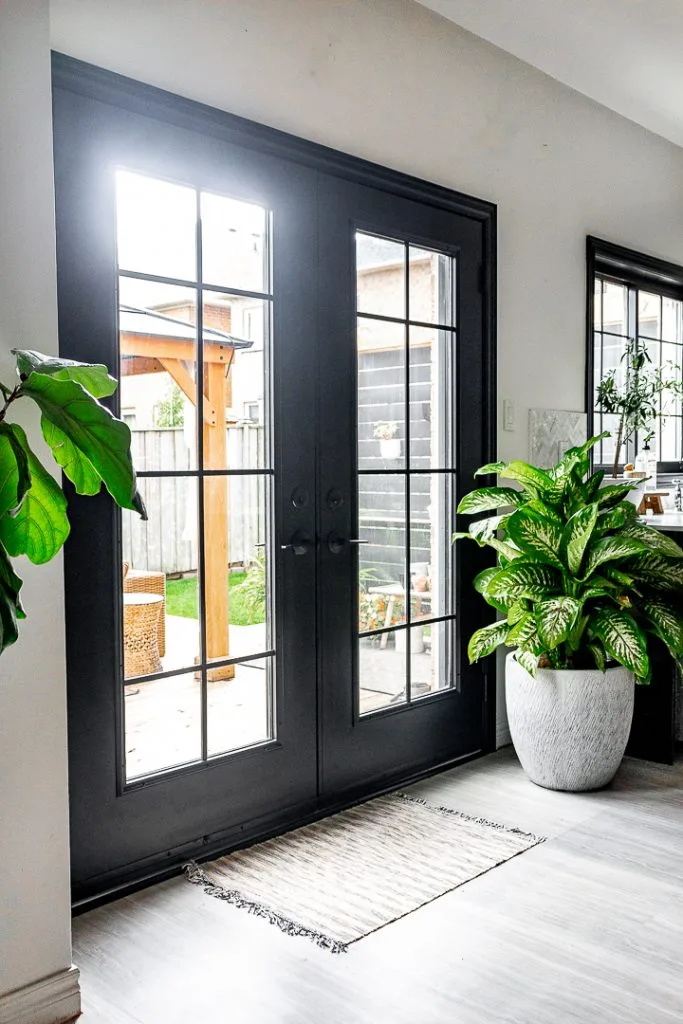 Black window pane double door with indoor plants