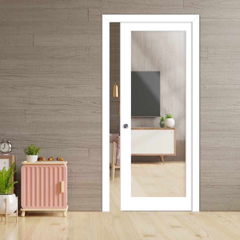 Pocket door with full length mirror panel