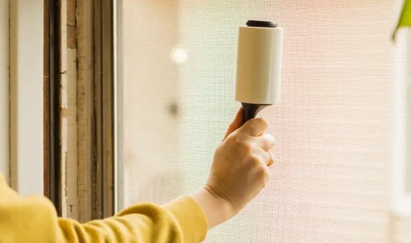 Verwenden einer Fusselrolle zum Entfernen von Staub vom Fliegengitter