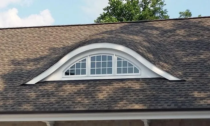 Eyebrow dormer with arched window on curved roof