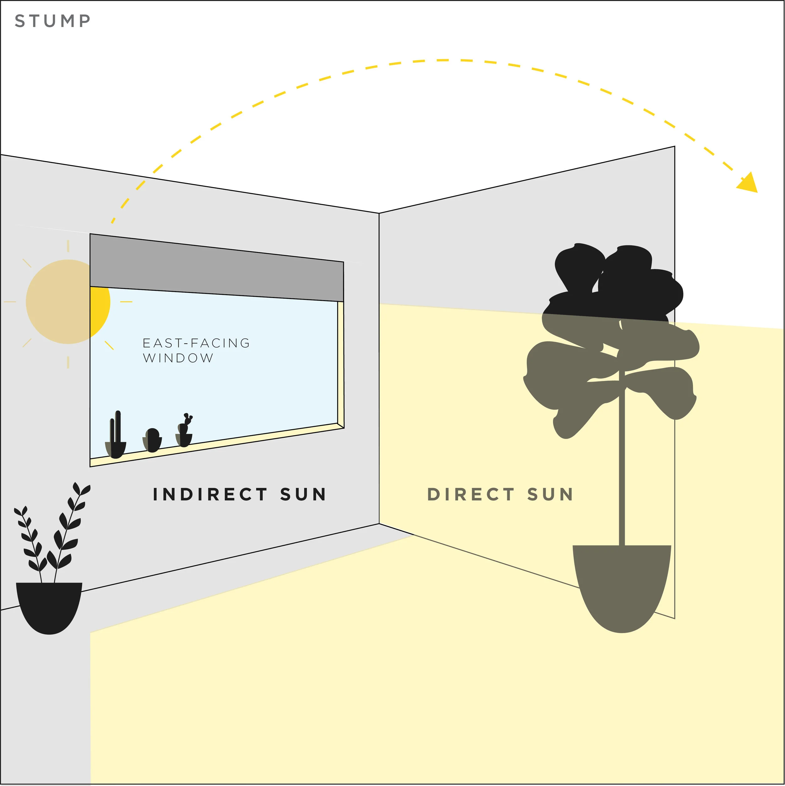 East facing window showing morning light and indirect sun