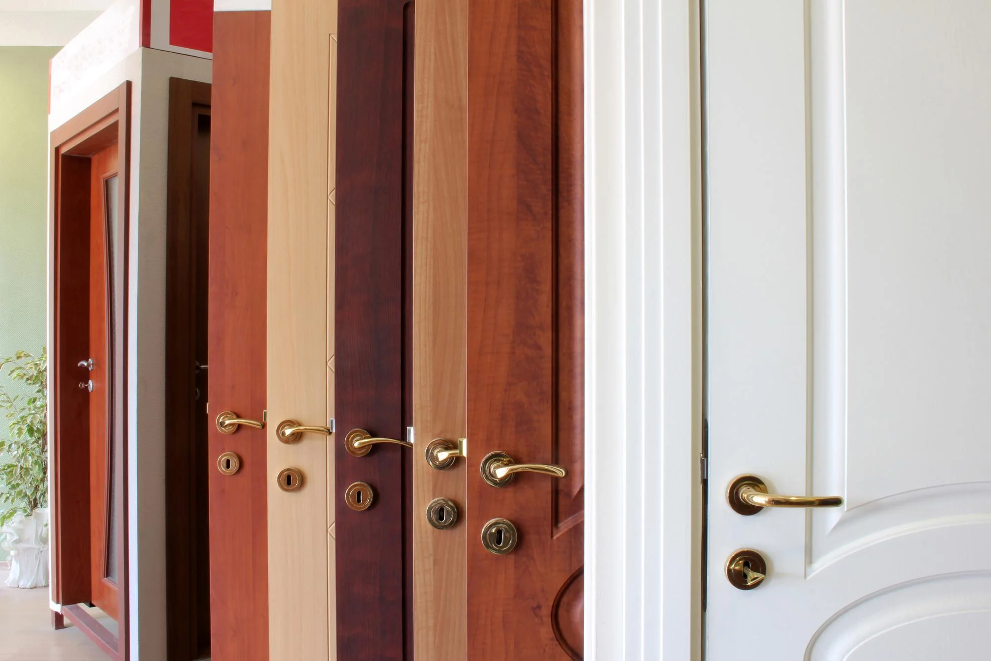 Interior wooden doors displayed in showroom lineup