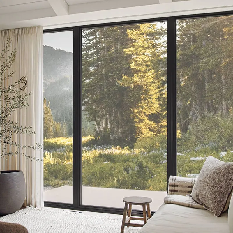 Fixed Floor to Ceiling Window Fixed Floor to Ceiling Window